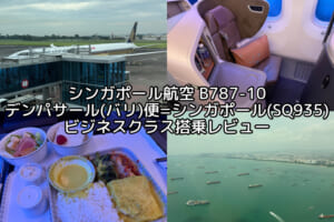 シンガポール航空（デンパサール(バリ)=シンガポール便:SQ935 B787-10）-搭乗レビュー