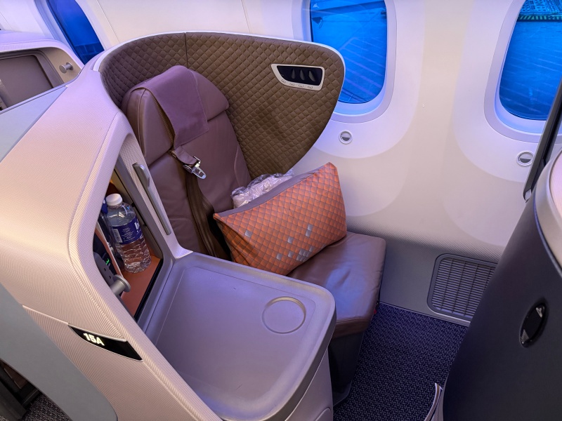 シンガポール航空(デンパサール(バリ)=シンガポール便:SQ935 B787-10)-ビジネスクラスシート