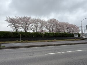 つくばの湯 アーバンホテル(Tsukuba-No-Yu Urban Hotel)ー外観