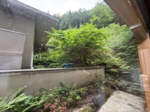SHIN 湯治 HOTEL LULUDー客室内の雰囲気