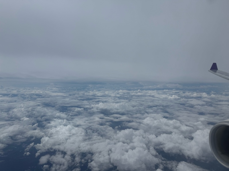 タイ航空(成田=バンコク便:TG641 A330-300)-着陸