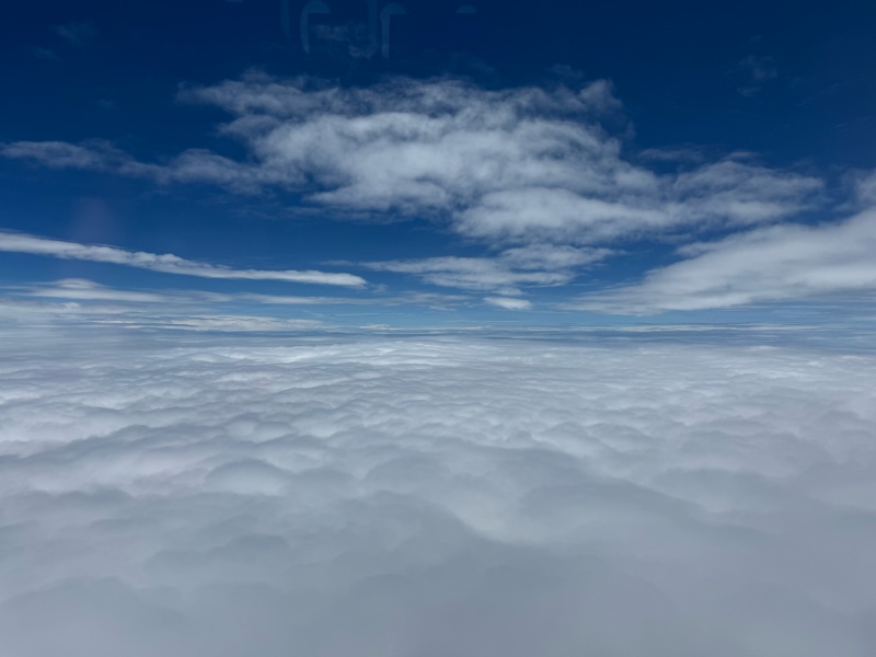 タイ航空(バンコク=羽田便:TG660 A350-900)-離陸